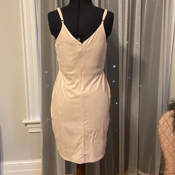 Blush Pink Dress - Picture 5 of 6